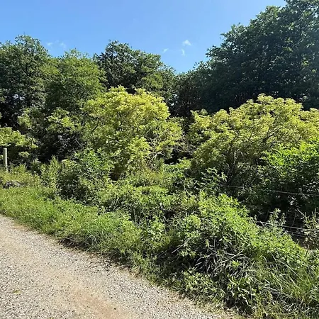 7 Person In Hyllinge-by Traum Vakantiehuis